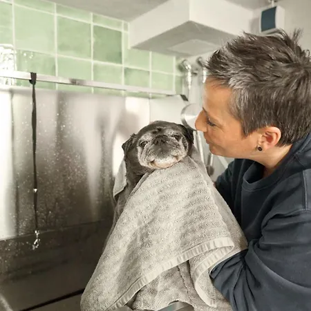 Oida Knoglerhof Gbr Lejlighed *