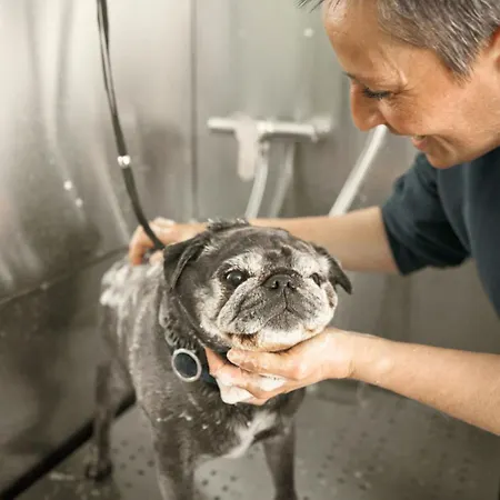 Lejlighed Oida Knoglerhof Gbr